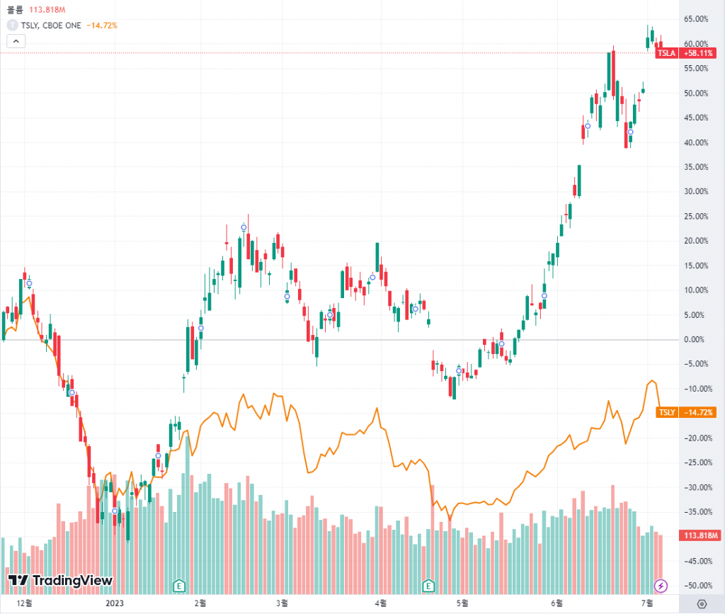 This is TSLY와 테슬라 투자 수익률