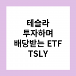 This is 테슬라 투자하며 배당받는 ETF TSLY